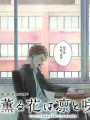 厨房风暴 美食综艺在线观看
